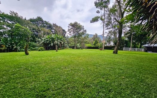 Terreno en venta, El Recreo, Santa Elena del Lago Km.32.5 Carretera Santa Elena Barillas